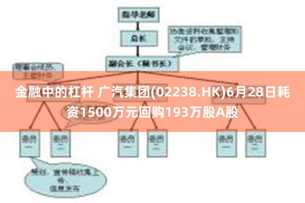 金融中的杠杆 广汽集团(02238.HK)6月28日耗资1500万元回购193万股A股