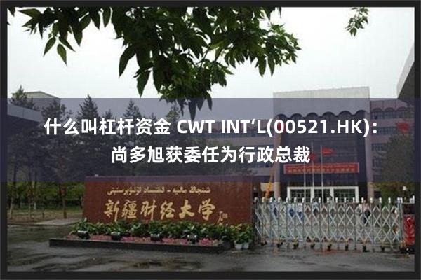 什么叫杠杆资金 CWT INT‘L(00521.HK)：尚多旭获委任为行政总裁