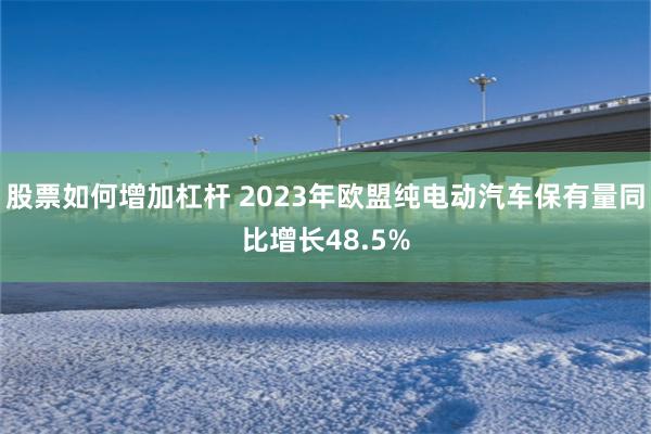 股票如何增加杠杆 2023年欧盟纯电动汽车保有量同比增长48.5%