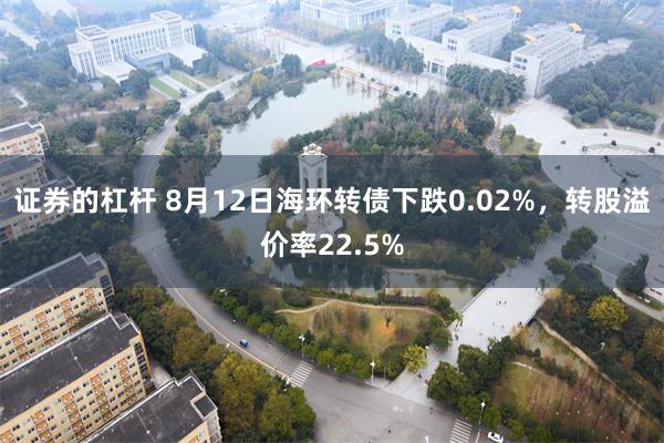 证券的杠杆 8月12日海环转债下跌0.02%，转股溢价率22.5%