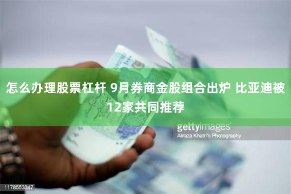 怎么办理股票杠杆 9月券商金股组合出炉 比亚迪被12家共同推荐