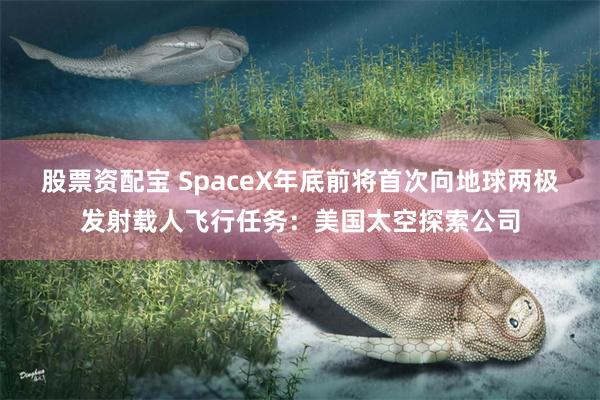 股票资配宝 SpaceX年底前将首次向地球两极发射载人飞行任务：美国太空探索公司