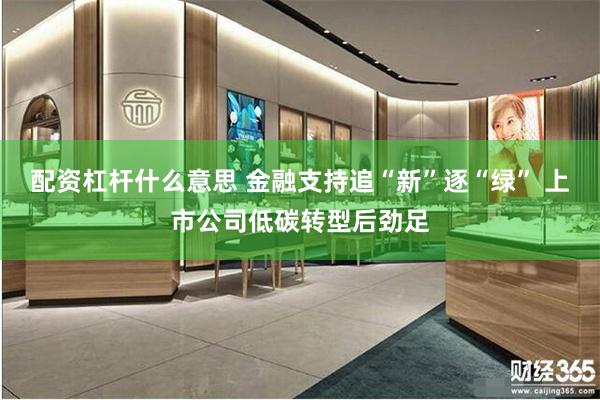 配资杠杆什么意思 金融支持追“新”逐“绿” 上市公司低碳转型后劲足