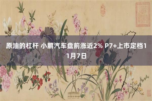 原油的杠杆 小鹏汽车盘前涨近2% P7+上市定档11月7日