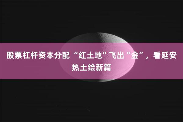 股票杠杆资本分配 “红土地”飞出“金”，看延安热土绘新篇