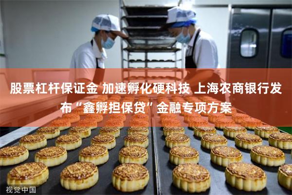 股票杠杆保证金 加速孵化硬科技 上海农商银行发布“鑫孵担保贷”金融专项方案