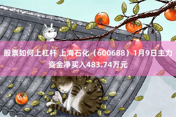 股票如何上杠杆 上海石化（600688）1月9日主力资金净买入483.74万元