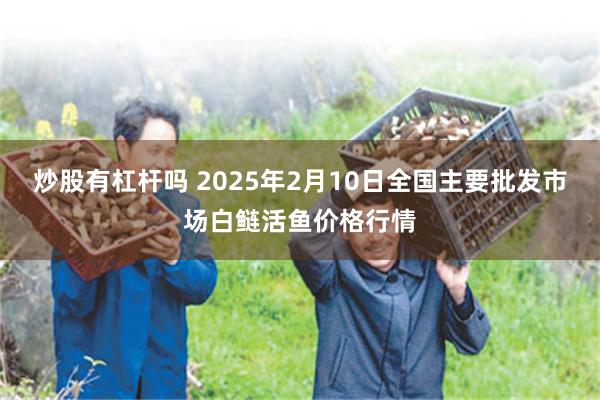 炒股有杠杆吗 2025年2月10日全国主要批发市场白鲢活鱼价格行情