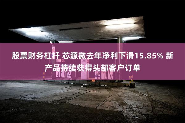 股票财务杠杆 芯源微去年净利下滑15.85% 新产品持续获得头部客户订单